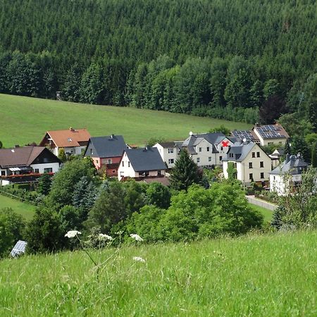 Ferienwohnung "Am Vaterlandsgrubenweg" Oelsnitz  Buitenkant foto